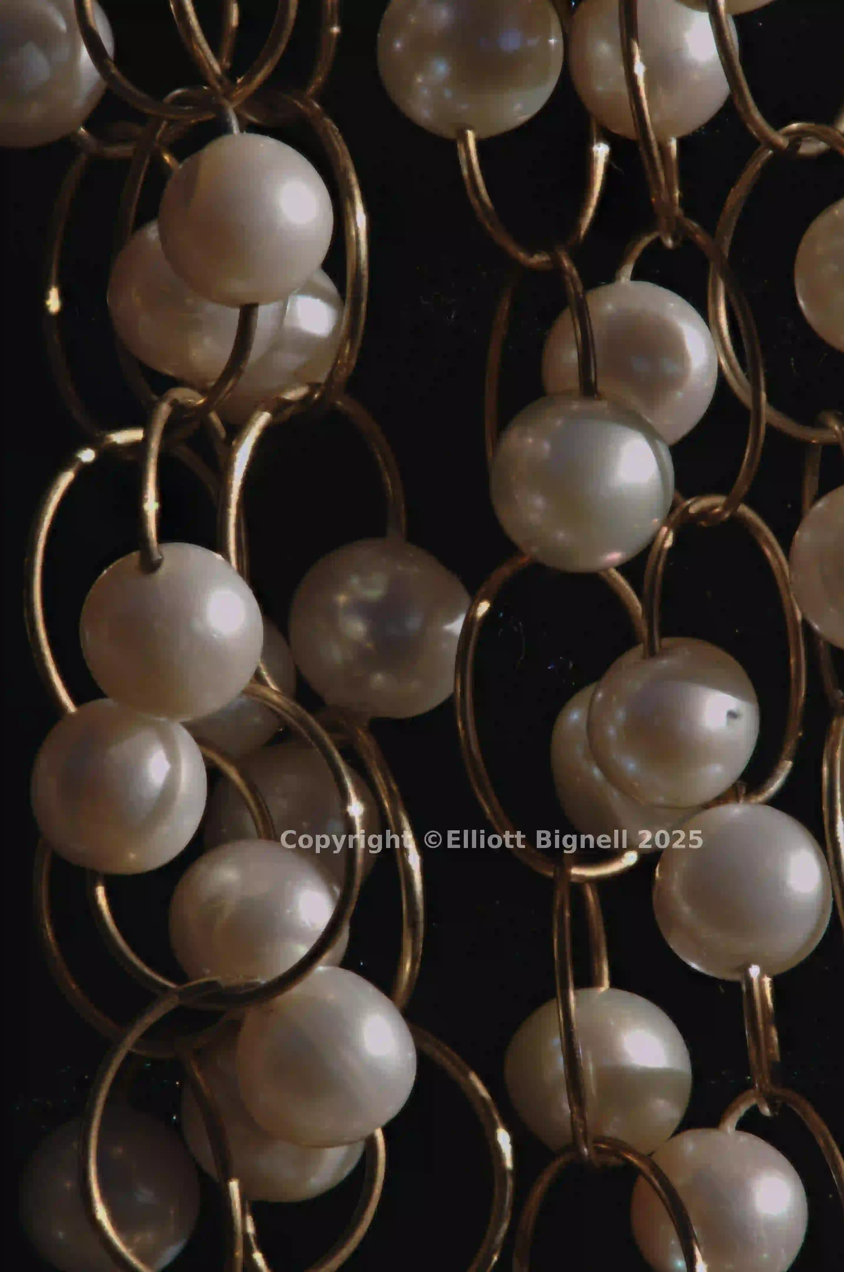 2013-11-12-07.36.18 ZS PMax.jpg